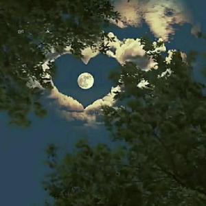 company (feat. ziro)