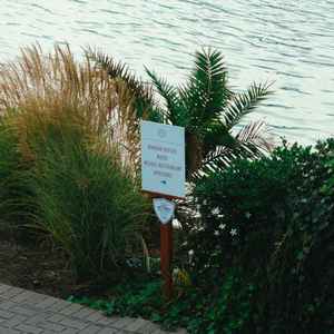 金色的琥珀 (钢琴)