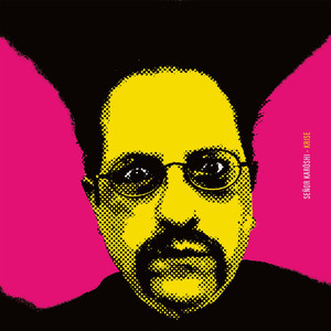 Schiessgewehr (Electro Version)