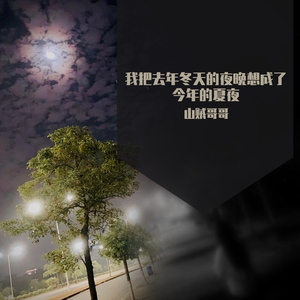 我把去年的冬天的夜晚想成了今年的夏夜