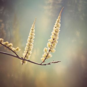 面朝大海，春暖花开