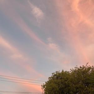 A Longing For More