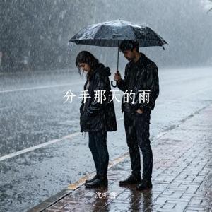 分手那天的雨