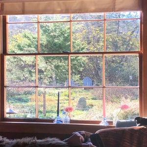 Eyehategod (feat. Nosgov)