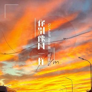 你别像风一样 (DJ Adolf Jack版)