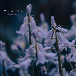 To See a World in a Grain of Sand