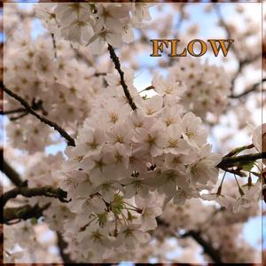 Flow