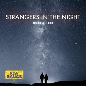Strangers in the night