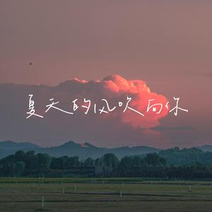夏天的风吹向你