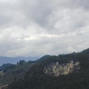 谢谢你的不爱了
