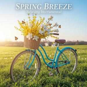 Afternoon Tea Time (오후의 홍차)