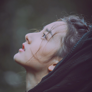 当你眼泪笑了，就真的听懂了这些歌