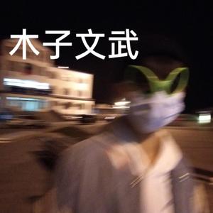 黑羊-末班车 （木子文武 remix）