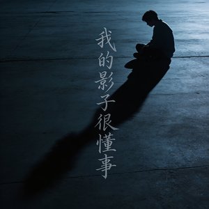 我的影子很懂事