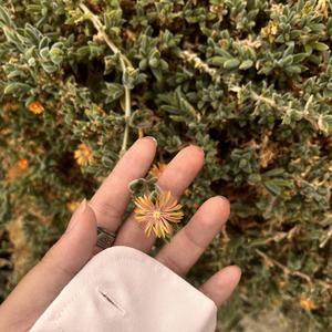 stupid romcom movies