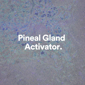 Pineal Gland Activation, Pt. 17