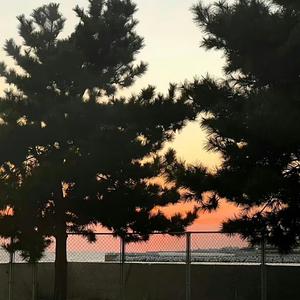 谁会陪谁的永远