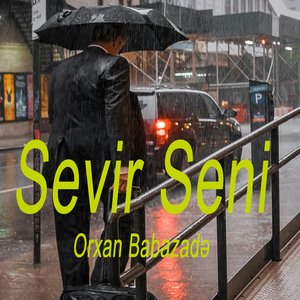 Sevir Seni