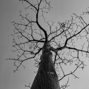 短暂又遗憾的相遇 都在惩罚认真的人