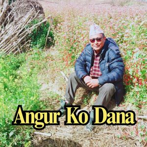 Angur Ko Dana