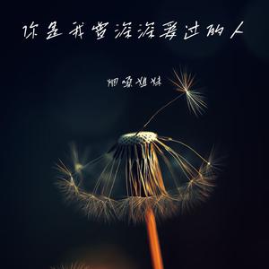 你是我曾深深爱过的人