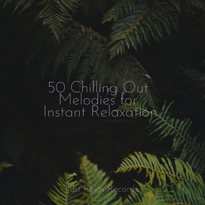 Harmony of Drizzling Voices