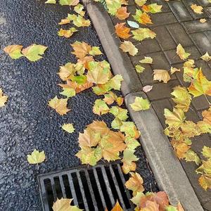 我当然知道那不是我的月亮