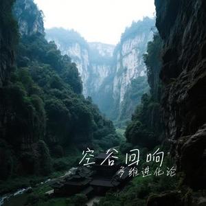 空谷回响
