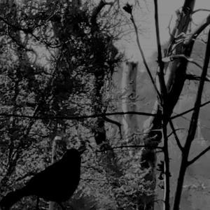 THE POWER OF DARKNESS WHICH SO GRACEFULLY GUIDES YOU