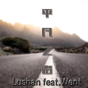 朴树-平凡之路Remix（Feat.WENT）（Lushan Remix）