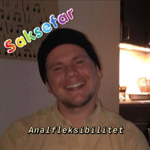 Analfleksibilitet