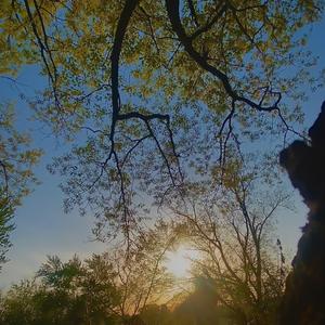 am i always going to feel like this