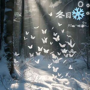 冬日 (DJ版)