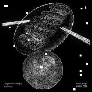 TAE (feat. Kimin Han)