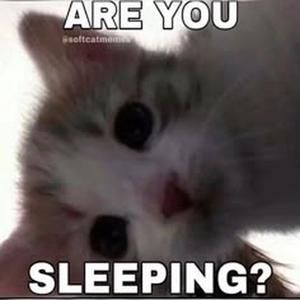 Sugar On My Tongue (Slowed)