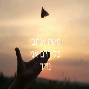 כל היום אני נודד