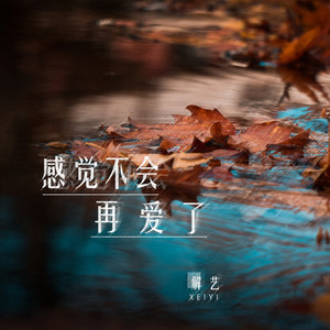 感觉不会再爱了
