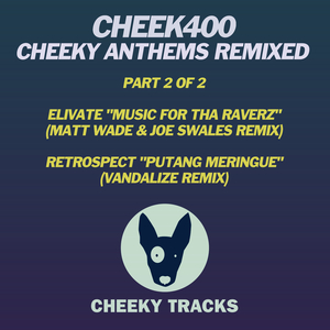 Putang Meringue (Vandalize Remix)