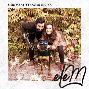Városi kutyaszar blues