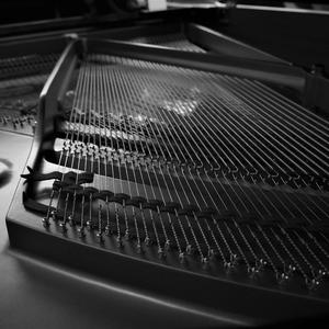 Durch Die Bunten Rosenhecken