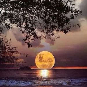 夜色微凉 (烟嗓版)