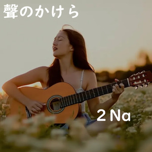 聲（こえ）のかけら