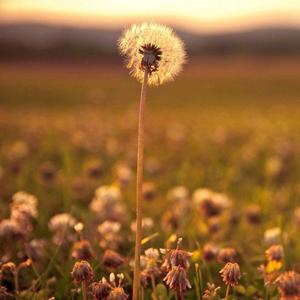 印象西湖雨（男生版）