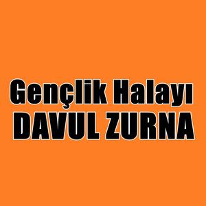 Gençlik Halayı Davul Zurna Tulum