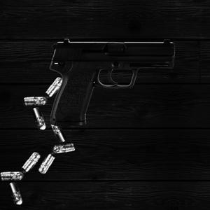 GUN (feat. Danieru Cactus)