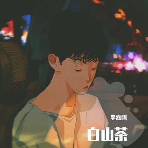 白山茶（吉他版）（翻自 陈雪凝）