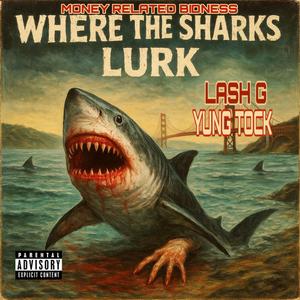 Where The Sharks Lurk