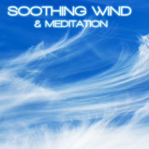 Wind & Yoga Meditation