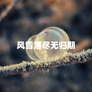 风雪落尽无归期