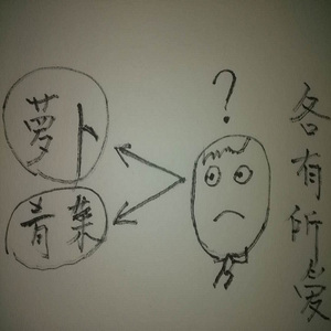 萝卜青菜各有所爱【willen】